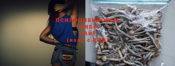 СК Пестово