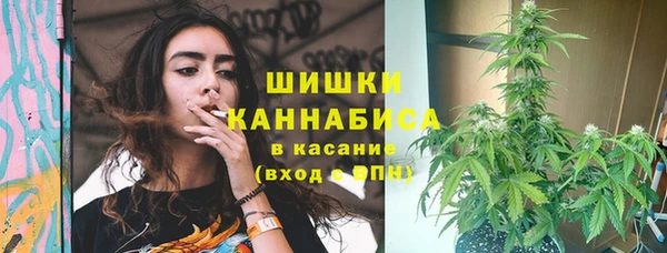 СК Пестово