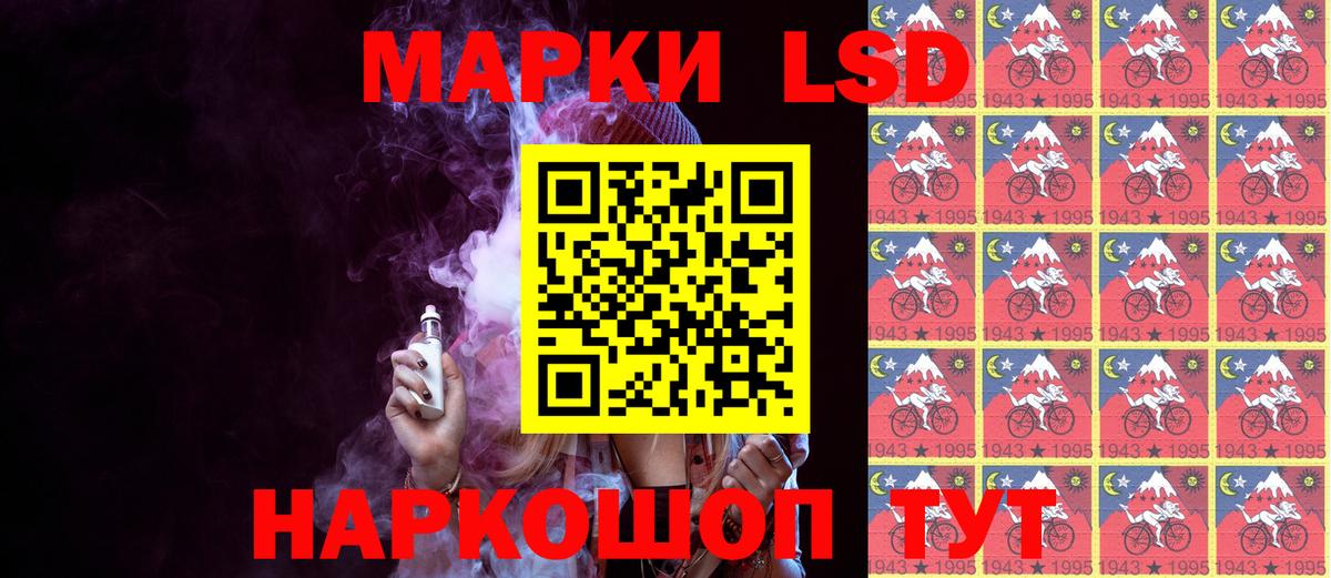 МЕФ Саров
