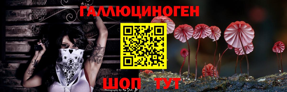 Псилоцибиновые грибы Psilocybe Саров