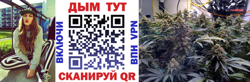 OMG как зайти  Саров  Шишки марихуана конопля  купить  цена 